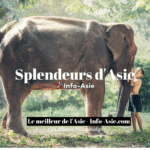 Informations et bons plans pour une expérience inoubliable en Asie