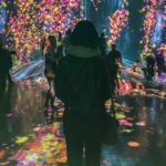 Digital Art Museum Tokyo par TeamLab