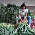 rouverture du march de gros des produits agricoles Urumqi — Chine Informations