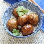 Boulettes Thaï végétaliennes – du bio dans mon bento