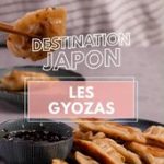 Gyozas au porc