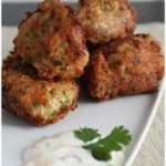 Boulettes de poulet à la coriandre & au gingembre {Chicken Kofta} | Bollywood Kitchen | Page 2259