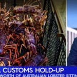 La langouste prise au piège des tensions entre la Chine et l’Australie