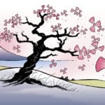 Près de Fukushima, les forêts regorgent de césium 137