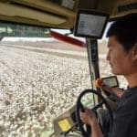Les États-Unis interdisent le coton produit dans les camps ouïgours du Xinjiang