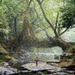 Il faut réapprendre à construire en harmonie avec la nature
