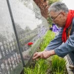 activits pour la fte de Qingming — Chine Informations
