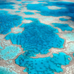 Grande Barrière de corail : l’Unesco plie devant l’Australie