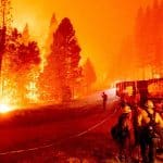 NCsoft - Incendies gÃ©ants en CorÃ©e : l'industrie locale du jeu se mobilise