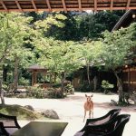 Miyajima Ryokan - 5 Auberges Japonaises à Découvrir Absolument