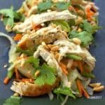 Salade de Poulet à la Vietnamienne