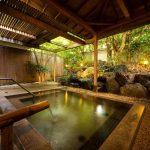 Ryokan Nara - 6 Superbes Auberges Traditionnelles Japonaises