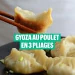 Gyoza au poulet en 3 pliages