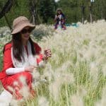 tourisme rural au Guizhou — Chine Informations