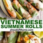 Vietnamese Summer Rolls with Chicken
