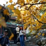 paysage automnal Pkin — Chine Informations