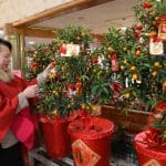 clbration du Nouvel An lunaire chinois San Francisco — Chine Informations