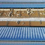 levage des moutons — Chine Informations