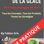 La Révolution de la Glace : Le Business de la Glace par Fabien Gris