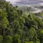 Découverte de la Région des Cardamomes au Cambodge