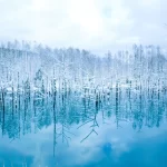 Que Faire à Hokkaido | 12 Destinations à Visiter en 2023