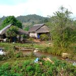 Visiter Hsipaw - Immersion Dans La Campagne Birmane