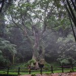 10 Merveilles De La Nature À Visiter Absolument En Asie