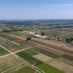 rcolte de lgumes dans le Ningxia — Chine Informations
