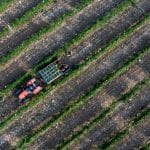 saison des vendanges au Ningxia — Chine Informations