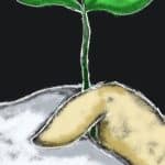 La communauté de Karampuang, un laboratoire d’écopédagogie pour le climat