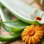 alternatives-naturelles-baume-tigre